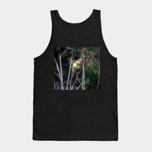 Yellow Rosella Tank Top